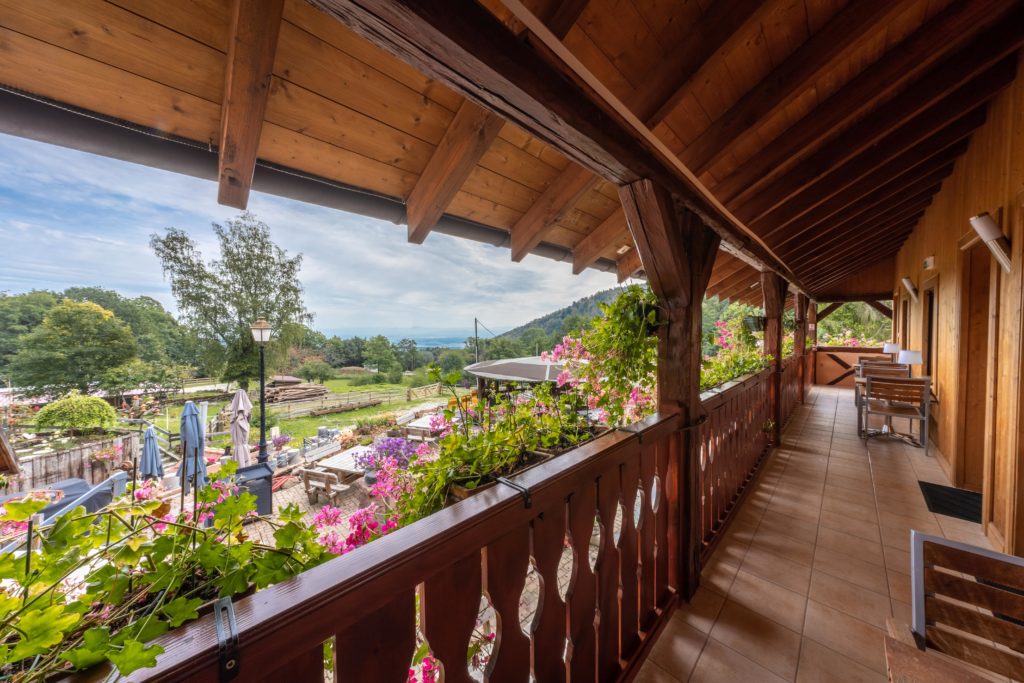 Auberge du Melkerhof - Girolle, Mousseron, Coulemelle et Lactaire