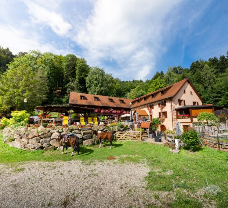 Auberge du Melkerhof - Gîte équestre