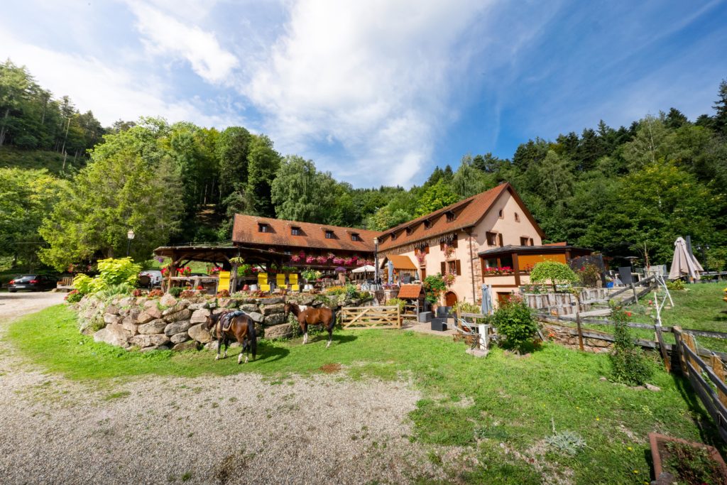 Auberge du Melkerhof - Hôtel de charme à Thannenkirch (alentours de Bergheim Ribeauvillé Riquewihr)
