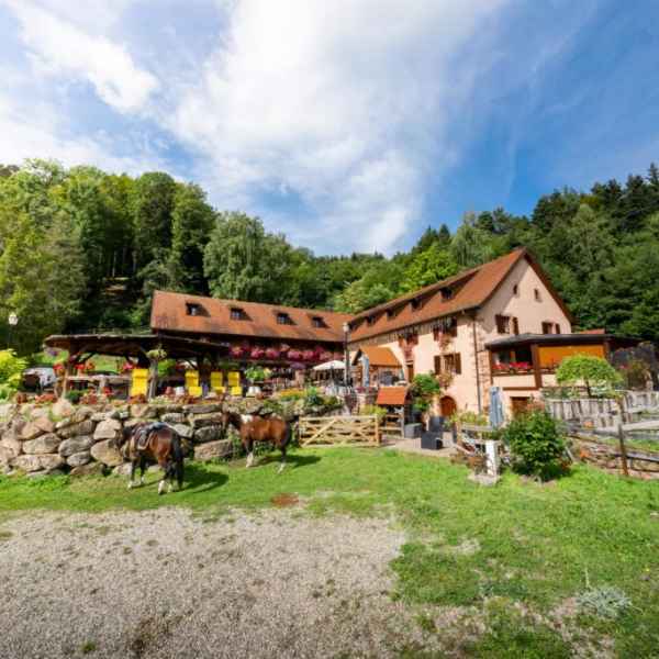 Auberge du Melkerhof - Hôtel de charme à Thannenkirch (alentours de Bergheim Ribeauvillé Riquewihr)